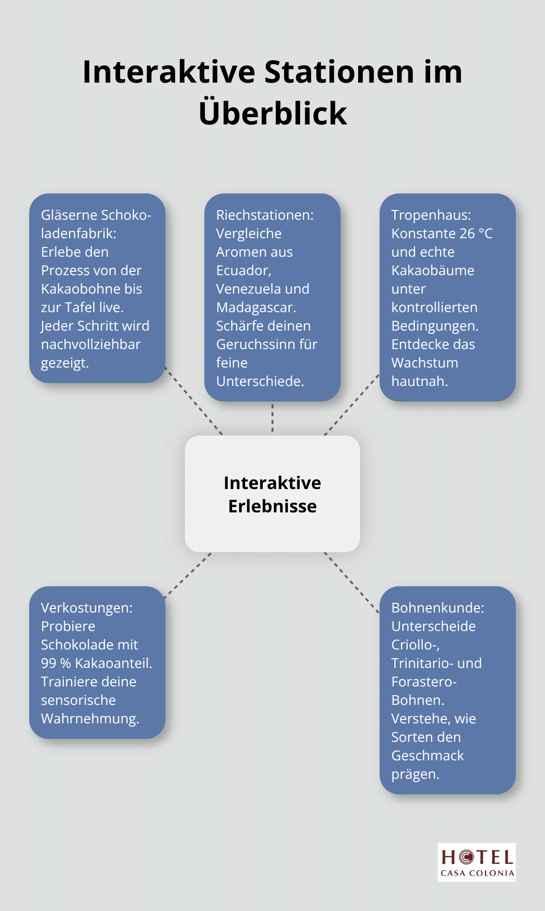 Visualisierung der interaktiven Angebote im Schokoladenmuseum Köln - köln sehenswürdigkeiten schokoladenmuseum